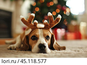 Festive Beagle in cute reindeer antlers lying near a beautifully decorated Christmas tree. Holiday cheer. Tired of decorating for New Year's Eve. Dog with deer headband. Cute pet with deer horns. Стоковое AI-изображение, AI-художник Марина Демидюк / Фотобанк Лори