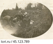 Советские студенты "на картошке" в 1970 годы. Стоковое фото, фотограф Retro / Фотобанк Лори