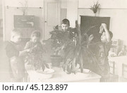 Дети протирают от пыли цветы в школе в 1950-е годы. Стоковое фото, фотограф Retro / Фотобанк Лори