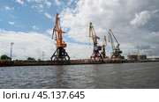 Калининград.Портовые краны в морском торговом порту. Стоковое фото, фотограф Виталий Куликов / Фотобанк Лори