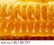 bee honeycomb closeup, fresh stringy dripping sweet honey, macro background. Стоковое фото, фотограф Natalia Gdovskaia / Фотобанк Лори