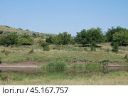Hillside on the bank of a small river. Стоковое фото, фотограф Andrew_Swarga / Фотобанк Лори