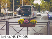 Крым, Симферополь, улица, проезжая часть, осень, дорога, автомобили, дождливо, дождь, хризантемы цветы в горшках. Стоковое фото, фотограф Андрей Макаренко / Фотобанк Лори