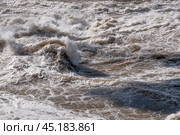 Бурлящая вода, прошедшая сквозь плотину гидроэлектростанции ( сквозь водоводы ) Стоковое фото, фотограф Павел Просянов / Фотобанк Лори