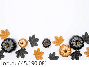 Banner. Modern background with bats, black and gold pumpkins, leaves, cobwebs, spiders on a white background. Halloween with copy space for text. Flat lay, top. Стоковое фото, фотограф Photojuli / Фотобанк Лори