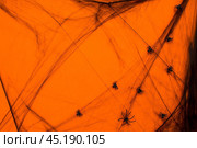 Banner. Modern background with cobwebs, spiders, on an orange background. Halloween with copy space for text. Flat lay, top. Стоковое фото, фотограф Photojuli / Фотобанк Лори