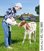 Woman feeds two week old calf from bottle with dummy at lawn. Стоковое фото, фотограф Татьяна Яцевич / Фотобанк Лори