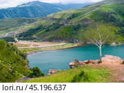 Picturesque view of the mountain lake Gizhgit with azure water and a lonely tree on the shore. Caucasus. Стоковое фото, фотограф Константин Лабунский / Фотобанк Лори