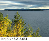Vibrant autumn foliage by the tranquil White Sea in Kandalaksha, Murmansk region under a cloudy sky. Стоковое фото, фотограф Александра Селина / Фотобанк Лори