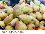freshness crop fresh closeup space diet food bunch fruit copy pear agriculture ripe background. Стоковое фото, фотограф ilya Lyubchenko / Фотобанк Лори
