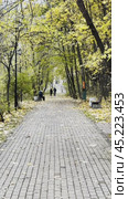 City park in late autumn. Стоковое видео, видеограф Ярославский Максим / Фотобанк Лори