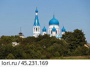 Покровский собор, город Гатчина, Ленинградская область, Россия. Вид издали на красивую православную церковь с колокольней и синими куполами. Собор Покрова Пресвятой Богородицы. Архитектурная достопримечательность Гатчины. Стоковое фото, фотограф Андрей Степанов / Фотобанк Лори