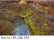Река Старка под крутыми берегами. Стоковое фото, фотограф Илья Старков / Фотобанк Лори
