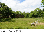 Развалины в посёлке Экипажный на острове Русский (2022 год). Редакционное фото, фотограф Free Wind / Фотобанк Лори