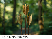 Three arrows standing upright in forest displaying golden fletching. Стоковое AI-изображение, AI-художник Иван Рябоконь / Фотобанк Лори