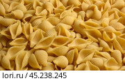 Conchiglie, Shells or Seashells Pasta Wallpaper. Spiral Raw Macaroni from Wheat flour rotating on Turntable. Close Up Top View. Uncooked Pasta Spinning. Full Frame. Food Background. Conchigliette. Стоковое видео, видеограф Марина Демидюк / Фотобанк Лори