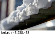 drops of melted snow drip from the roof during a thaw. Стоковое фото, фотограф Igor Skripachev / Фотобанк Лори