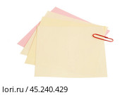 Sheets of stapled paper clips. Стоковое фото, фотограф Олег Жуков / Фотобанк Лори