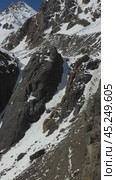 Vertical aerial video of Altai mountain valley with Aktru (Akturu) glacier. Group of alpinists and tourists are on the slope. Стоковое видео, видеограф Сергей Пристяжнюк (Serg Zastavkin) / Фотобанк Лори