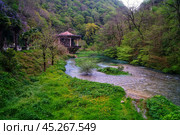 Абхазия. Стоковое фото, фотограф Анна Каменева / Фотобанк Лори