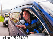 Водитель на обочине проезжей части, кормит уличного голубя сямянами подсолнуха из губ. Удивительная картина... В этот момент, я , пробегая мимо, вынужден был остановиться. Спросив разрешение поснимать эту сцену, я сделал серию кадров. Видимо, это любимое занятие  таким вот методом кормить голубей сохранилась у человека с детства. г. Магадан, Восточная Сибирь. (2013 год). Редакционное фото, фотограф Павел Просянов / Фотобанк Лори