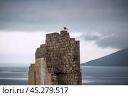 Морская чайка, на фоне облачного неба, на руинах советской архитектуры времен развитого социализма. Побережье Охотского моря, бухта Нагаева, Магадан. Стоковое фото, фотограф Павел Просянов / Фотобанк Лори