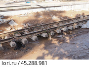 The aftermath of hurricane Dana in Valencia, Spain - Damaged railway tracks after devastating flood in Valencia. Стоковое фото, фотограф Данил Руденко / Фотобанк Лори