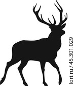 Simple black silhouette of the buck on the white background. Стоковая иллюстрация, иллюстратор Долотова Елена Викторовна / Фотобанк Лори