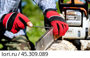 master sharpens a chain on a chainsaw. Стоковое фото, фотограф Igor Skripachev / Фотобанк Лори