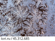 Frosty pattern on a window pane. Стоковое фото, фотограф Лариса Гордеева / Фотобанк Лори