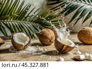 Splashes of coconut milk and palm leaves. Coconuts with a milky shade on a light background. A banner for sweets, spa cosmetics or body and face care creams. Стоковое AI-изображение, AI-художник Photojuli / Фотобанк Лори