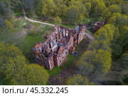 Над руинами старинного особняка в дворянской усадьбе "Княжья горка" майским днем (съемка с квадрокоптера). Псковская область (2022 год). Стоковое фото, фотограф Виктор Карасев / Фотобанк Лори