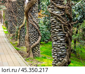 Колонны из галечного камня, обвитые лозой. Стоковое фото, фотограф Вячеслав Палес / Фотобанк Лори