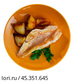 On plate, slice of fried redfish garnished with French fries. Стоковое фото, фотограф Яков Филимонов / Фотобанк Лори