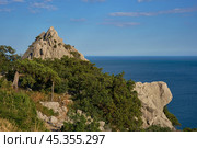 Побережье Черного моря. Крым (2024 год). Стоковое фото, фотограф Александр Тимохин / Фотобанк Лори