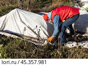 Winter Protection for Garden, winter shelter for garden plants, shelter rhododendrons. Стоковое фото, фотограф Ольга Сейфутдинова / Фотобанк Лори
