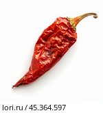 Single dried red chilli pepper lying on white background. Стоковое AI-изображение, AI-художник Иван Рябоконь / Фотобанк Лори