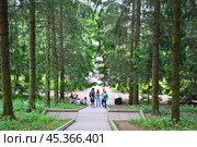 Парковая аллея в Петергофе. Петродворец (2023 год). Редакционное фото, фотограф Александр Тараканов / Фотобанк Лори