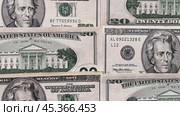 Video of paper American dollar bills. Dollar bills of 20 dollars lie face down and back down in a row on the table. Money financial background. Flat lay, close-up, top view. Стоковое видео, видеограф Виктория Катьянова / Фотобанк Лори