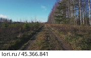 The drone flies at high speed over a country road near a field along a forest belt. FPV. Стоковое видео, видеограф Ярославский Максим / Фотобанк Лори
