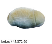 Prehnite stone isolated on white background. Стоковое фото, фотограф Константин Григорьев / Фотобанк Лори