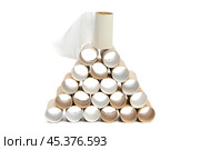 Empty toilet paper on white background. Стоковое фото, фотограф Сергей Толмачёв / Фотобанк Лори