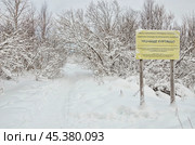 Урочище Куртяево. Архангельская область (2016 год). Стоковое фото, фотограф Яковлев Сергей / Фотобанк Лори