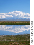 Altai landscape in the Chuya steppe with small lake and mountains. Стоковое фото, фотограф Сергей Пристяжнюк (Serg Zastavkin) / Фотобанк Лори