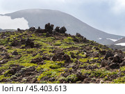 Summer mountain landscape. Petrified lava on the slopes of the volcano. Travel, tourism and hiking on the Kamchatka Peninsula. Nature of Siberia and the Russian Far East. Kamchatka Territory, Russia. Стоковое фото, фотограф Андрей Степанов / Фотобанк Лори