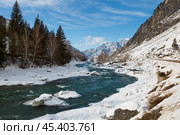 Зимний Алтай, незамерзающая река Катунь и горы, покрытые снегом. Республика Алтай, Россия. Стоковое фото, фотограф Наталья Волкова / Фотобанк Лори