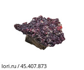 Cinnabar crystals on quartz. Стоковое фото, фотограф Константин Григорьев / Фотобанк Лори
