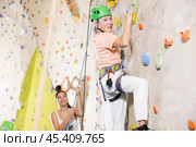 positive muscular retired woman in gym climbing up artificial rock climbing wall. Стоковое фото, фотограф Яков Филимонов / Фотобанк Лори