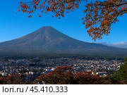 View of Mount Fuji from the observation deck in the Arakura yama Sengen Park from the Chureito Pagoda on a sunny autumn day, Fujiyoshida, Yamanashi Prefecture, Japan. Стоковое фото, фотограф Ula Ulachka / Фотобанк Лори