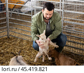 Farmer squatting with goatling in shed. Стоковое фото, фотограф Яков Филимонов / Фотобанк Лори